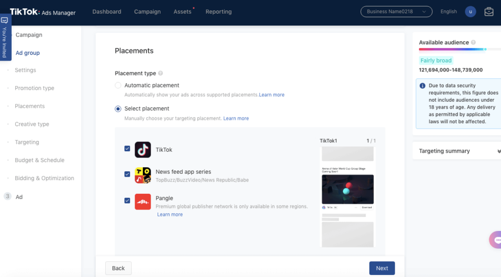 TikTok ads placement