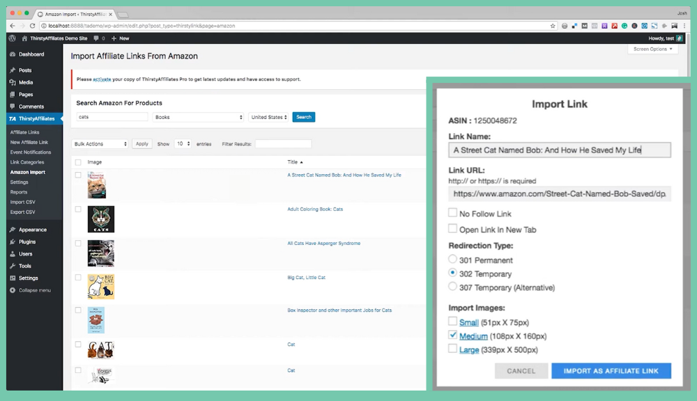 Amazon Affiliate Link Importer_ThirstyAffilaites 