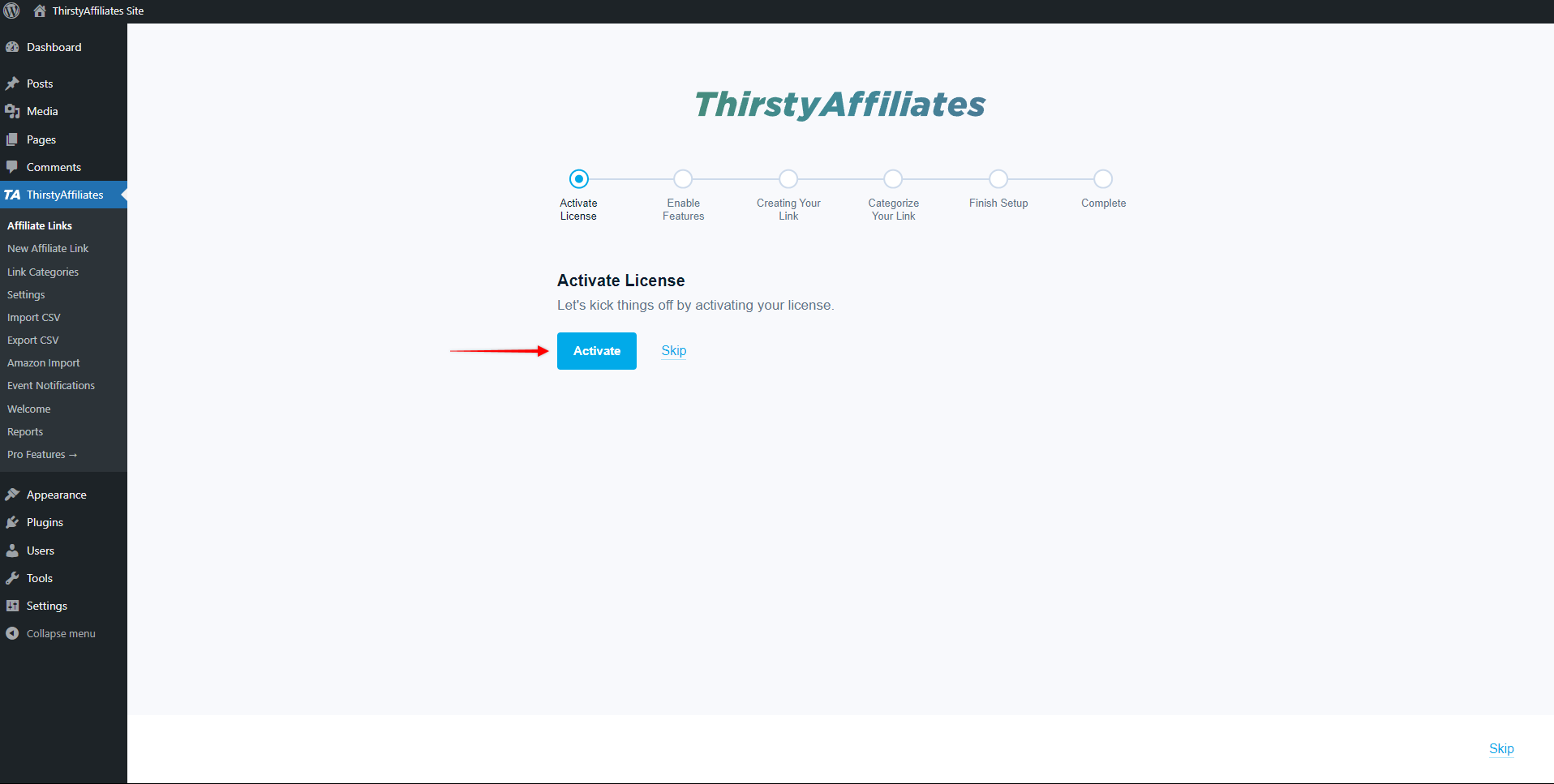 ThirstyAffiliates - Activate License